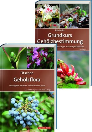 Fitschen – Gehölzflora 13. Auflage + Grundkurs Gehölzbestimmung 3. Auflage von Quelle & Meyer Verlag