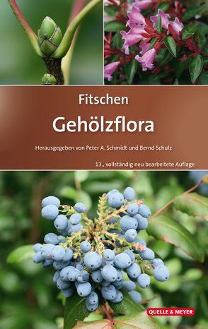 Fitschen – Gehölzflora von Hecker,  Ulrich, Schmidt,  Peter A, Schulz,  Bernd