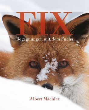 FIX. Begegnungen mit dem Fuchs von Mächler,  Albert