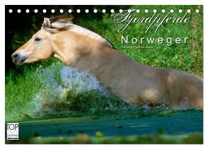 Fjordpferde – Norweger (Tischkalender 2024 DIN A5 quer), CALVENDO Monatskalender von Dünisch - www.Ramona-Duenisch.de,  Ramona