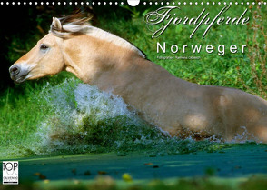 Fjordpferde – Norweger (Wandkalender 2023 DIN A3 quer) von Dünisch - www.Ramona-Duenisch.de,  Ramona