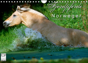 Fjordpferde – Norweger (Wandkalender 2023 DIN A4 quer) von Dünisch - www.Ramona-Duenisch.de,  Ramona
