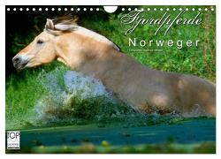 Fjordpferde – Norweger (Wandkalender 2024 DIN A4 quer), CALVENDO Monatskalender von Dünisch - www.Ramona-Duenisch.de,  Ramona