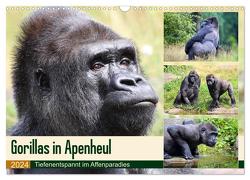 Flachlandgorillas in Apenheul (Wandkalender 2024 DIN A3 quer), CALVENDO Monatskalender von und Michael Herzog,  Yvonne