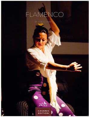 Flamenco color 2022 50x35cm von Schawe,  Heinz-werner