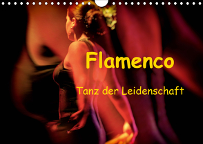 Flamenco – Tanz der Leidenschaft (Wandkalender 2020 DIN A4 quer) von Dürr / Gabi Hampe,  Brigitte