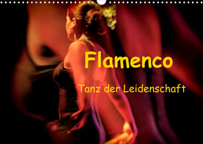 Flamenco – Tanz der Leidenschaft (Wandkalender 2022 DIN A3 quer) von Dürr / Gabi Hampe,  Brigitte