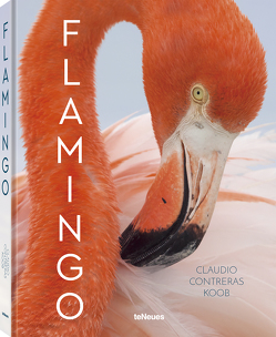 Flamingo von Contreras Koob,  Claudio
