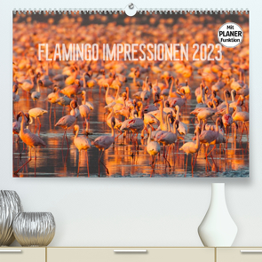 Flamingo Impressionen 2023 (Premium, hochwertiger DIN A2 Wandkalender 2023, Kunstdruck in Hochglanz) von Gerlach,  Ingo