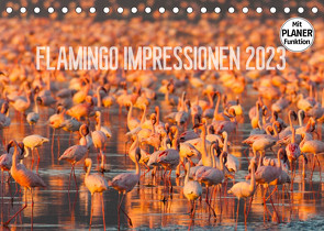 Flamingo Impressionen 2023 (Tischkalender 2023 DIN A5 quer) von Gerlach,  Ingo