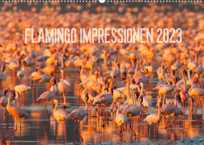 Flamingo Impressionen 2023 (Wandkalender 2023 DIN A2 quer) von Gerlach,  Ingo