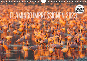Flamingo Impressionen 2023 (Wandkalender 2023 DIN A4 quer) von Gerlach,  Ingo