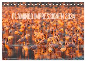 Flamingo Impressionen 2024 (Tischkalender 2024 DIN A5 quer), CALVENDO Monatskalender von Gerlach,  Ingo