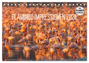 Flamingo Impressionen 2024 (Tischkalender 2024 DIN A5 quer), CALVENDO Monatskalender von Gerlach,  Ingo