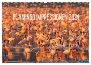 Flamingo Impressionen 2024 (Wandkalender 2024 DIN A2 quer), CALVENDO Monatskalender von Gerlach,  Ingo