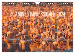 Flamingo Impressionen 2024 (Wandkalender 2024 DIN A4 quer), CALVENDO Monatskalender von Gerlach,  Ingo