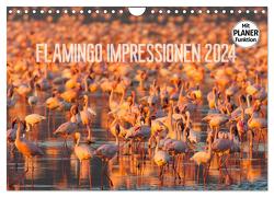 Flamingo Impressionen 2024 (Wandkalender 2024 DIN A4 quer), CALVENDO Monatskalender von Gerlach,  Ingo