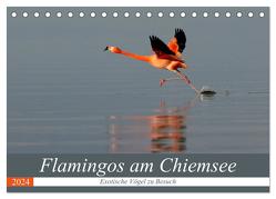 Flamingos am Chiemsee (Tischkalender 2024 DIN A5 quer), CALVENDO Monatskalender von R Bogner,  J