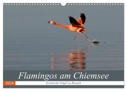 Flamingos am Chiemsee (Wandkalender 2024 DIN A3 quer), CALVENDO Monatskalender von R Bogner,  J