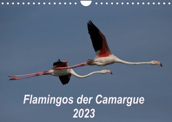 Flamingos der Camargue 2023 (Wandkalender 2023 DIN A4 quer) von Photo-Pirsch