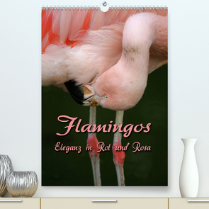 Flamingos – Eleganz in Rot und Rosa (Premium, hochwertiger DIN A2 Wandkalender 2022, Kunstdruck in Hochglanz) von Berg,  Martina