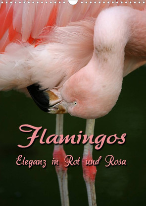 Flamingos – Eleganz in Rot und Rosa (Wandkalender 2022 DIN A3 hoch) von Berg,  Martina