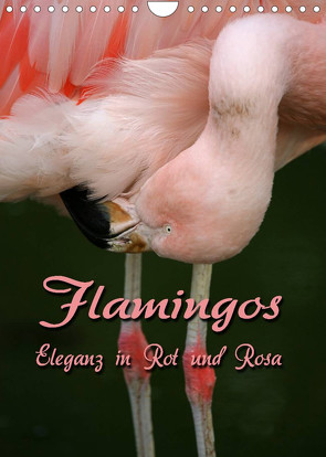 Flamingos – Eleganz in Rot und Rosa (Wandkalender 2022 DIN A4 hoch) von Berg,  Martina