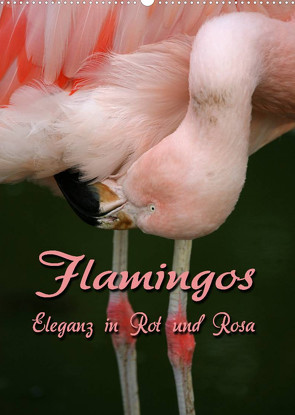 Flamingos – Eleganz in Rot und Rosa (Wandkalender 2023 DIN A2 hoch) von Berg,  Martina