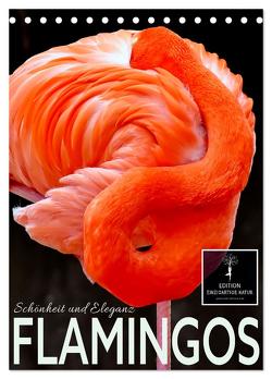 Flamingos – Eleganz und Schönheit (Tischkalender 2024 DIN A5 hoch), CALVENDO Monatskalender von Roder,  Peter