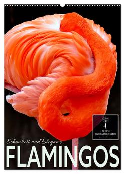 Flamingos – Eleganz und Schönheit (Wandkalender 2024 DIN A2 hoch), CALVENDO Monatskalender von Roder,  Peter