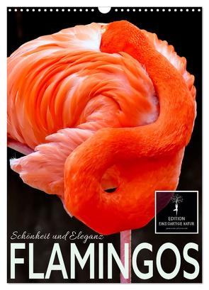 Flamingos – Eleganz und Schönheit (Wandkalender 2024 DIN A3 hoch), CALVENDO Monatskalender von Roder,  Peter