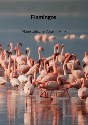 Flamingos – Majestätische Vögel in Pink von Schoo,  Rika