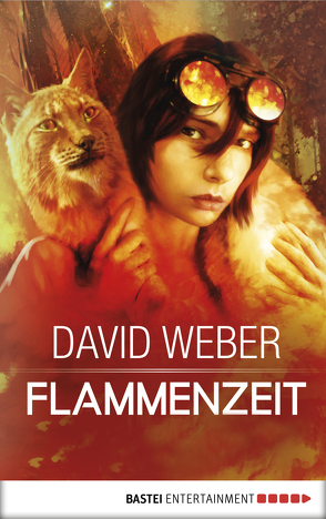 Flammenzeit von Lindskold,  Jane, Ritgen,  Ulf, Weber,  David