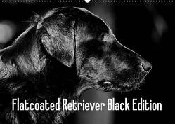 Flatcoated Retriever Black Edition (Wandkalender 2023 DIN A2 quer) von Müller,  Beatrice
