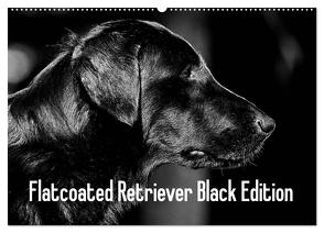 Flatcoated Retriever Black Edition (Wandkalender 2024 DIN A2 quer), CALVENDO Monatskalender von Müller,  Beatrice