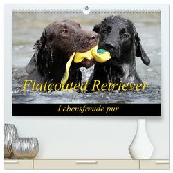 Flatcoated Retriever (hochwertiger Premium Wandkalender 2024 DIN A2 quer), Kunstdruck in Hochglanz von / Beatrice Müller,  BeaM