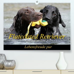 Flatcoated Retriever (Premium, hochwertiger DIN A2 Wandkalender 2022, Kunstdruck in Hochglanz) von / Beatrice Müller,  BeaM
