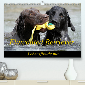 Flatcoated Retriever (Premium, hochwertiger DIN A2 Wandkalender 2023, Kunstdruck in Hochglanz) von / Beatrice Müller,  BeaM