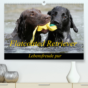 Flatcoated Retriever (Premium, hochwertiger DIN A2 Wandkalender 2020, Kunstdruck in Hochglanz) von / Beatrice Müller,  BeaM