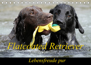 Flatcoated Retriever (Tischkalender 2022 DIN A5 quer) von / Beatrice Müller,  BeaM