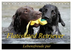 Flatcoated Retriever (Tischkalender 2024 DIN A5 quer), CALVENDO Monatskalender von / Beatrice Müller,  BeaM