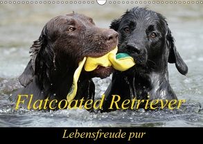 Flatcoated Retriever (Wandkalender 2018 DIN A3 quer) von / Beatrice Müller,  BeaM