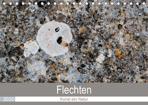 Flechten – Kunst der Natur (Tischkalender 2020 DIN A5 quer) von Dietz,  Rolf