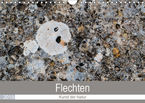 Flechten – Kunst der Natur (Wandkalender 2019 DIN A4 quer) von Dietz,  Rolf
