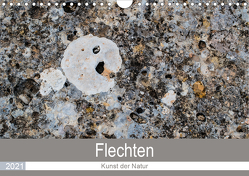 Flechten – Kunst der Natur (Wandkalender 2021 DIN A4 quer) von Dietz,  Rolf