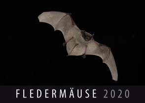 Fledermäuse 2020 von Quelle & Meyer Verlag