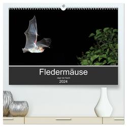 Fledermäuse – Jäger der Nacht (hochwertiger Premium Wandkalender 2024 DIN A2 quer), Kunstdruck in Hochglanz von Schäfer,  Otto