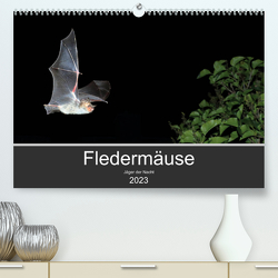Fledermäuse – Jäger der Nacht (Premium, hochwertiger DIN A2 Wandkalender 2023, Kunstdruck in Hochglanz) von Schäfer,  Otto