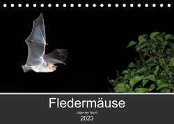 Fledermäuse – Jäger der Nacht (Tischkalender 2023 DIN A5 quer) von Schäfer,  Otto