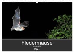 Fledermäuse – Jäger der Nacht (Wandkalender 2024 DIN A2 quer), CALVENDO Monatskalender von Schäfer,  Otto